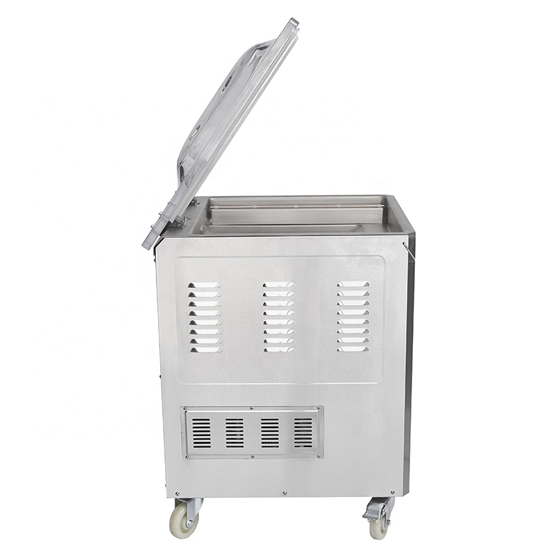 Fubei DZ-500 2Evacuum Sealer/s - đánh giá và giá Meal Prep Food