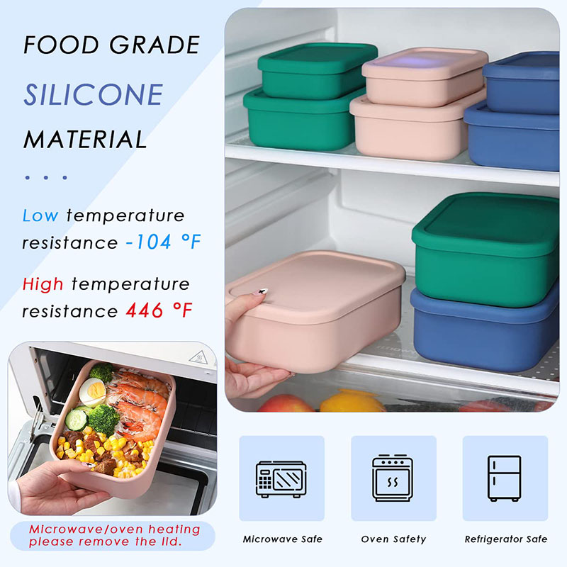 Leak-Resistant Bento Lunch Box - đánh giá và giá Meal Prep Tupperware